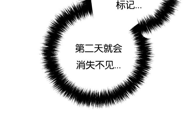 第40章：消失不见49