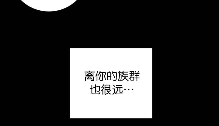 第83章：只看着我53
