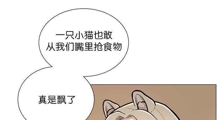 第15章：逃不掉了33