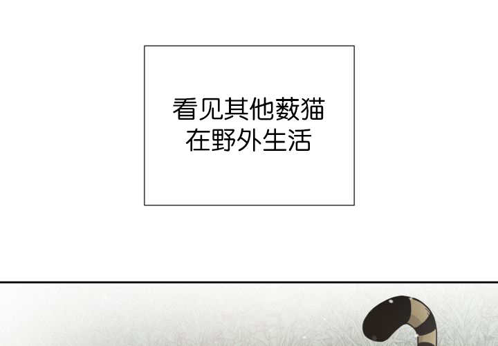 第87章：向往外界83