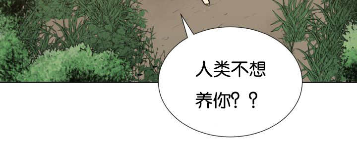 第48章：失去犬牙56