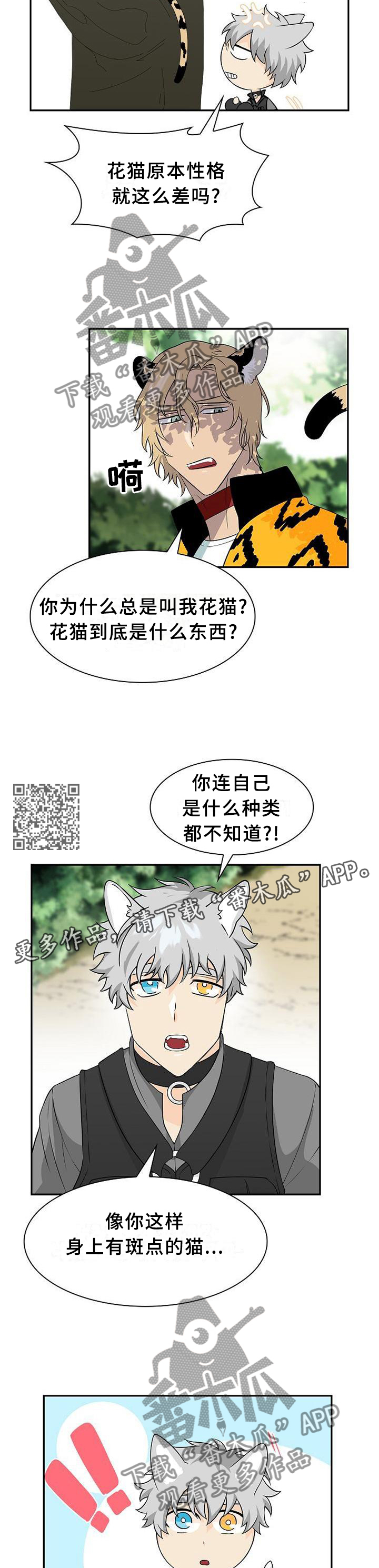 第111章：【第二季】我的食物6