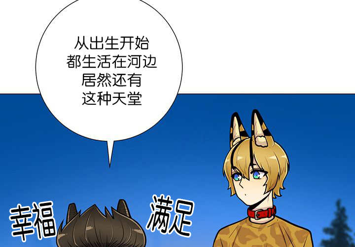 第19章：不会放过17