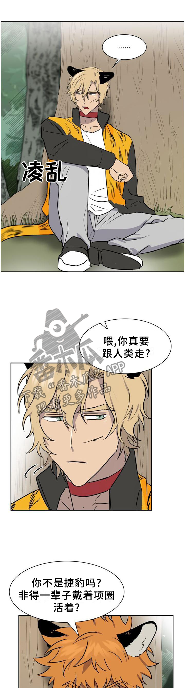 第137章：【第二季】野生动物的尊严5