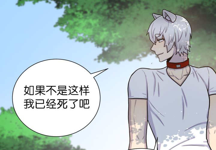 第87章：向往外界14