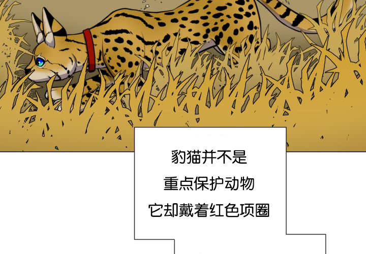 第43章：寂静之下46