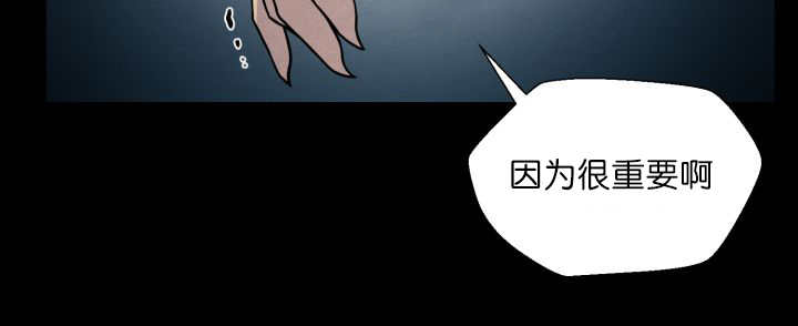 第58章：什么意义33
