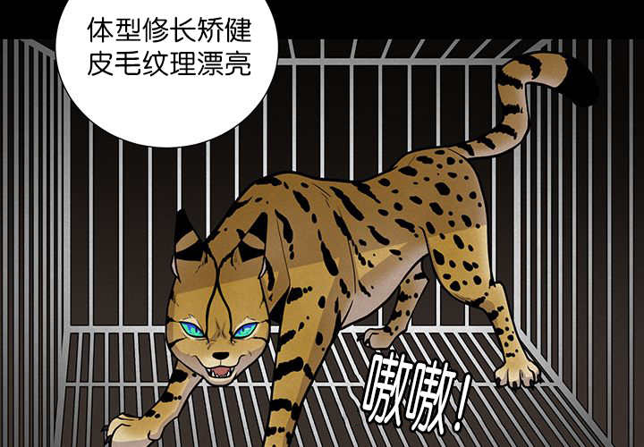 第1章：好好表现30