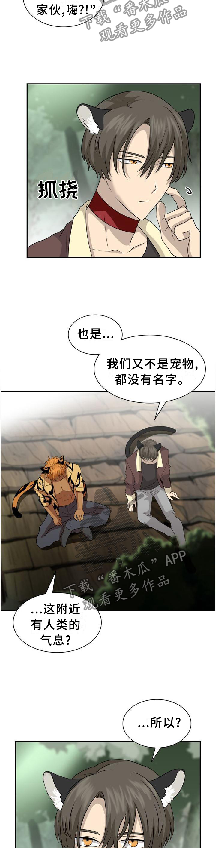 第119章：【第二季】猎物8
