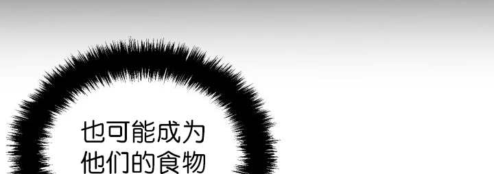 第78章：傲娇小熊猫47
