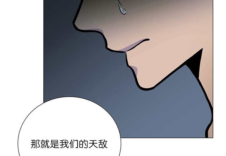 第17章：无法违背35