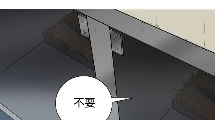 第37章：我喜欢他34