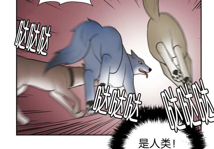 第80章：现在不会37