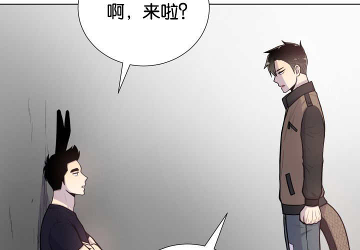 第41章：为你准备55