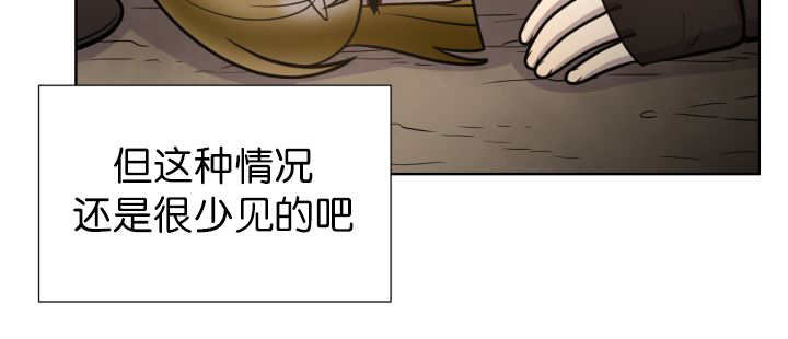 第73章：给我带路24