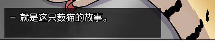 第1章：好好表现13