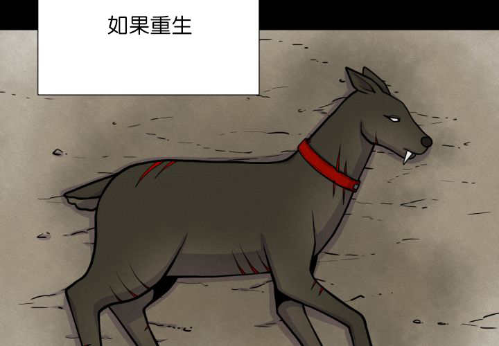 第66章：因为是你2