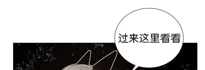 第81章：要去哪里33