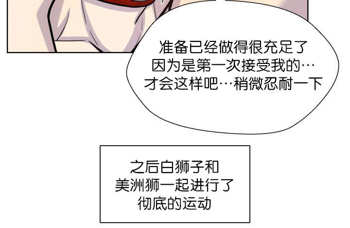 第62章：怕弄疼我9