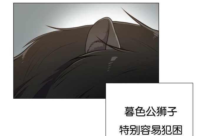 第44章：现在去哪4