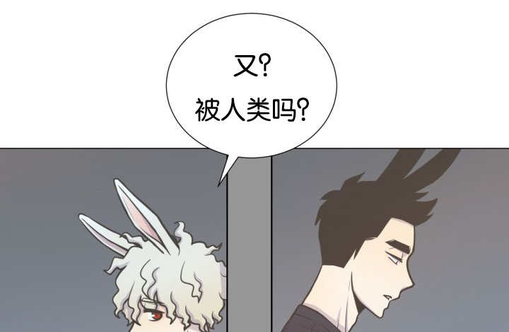 第36章：是爱情吗27
