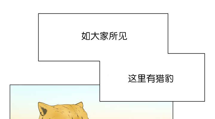 第11章：牺牲自由43