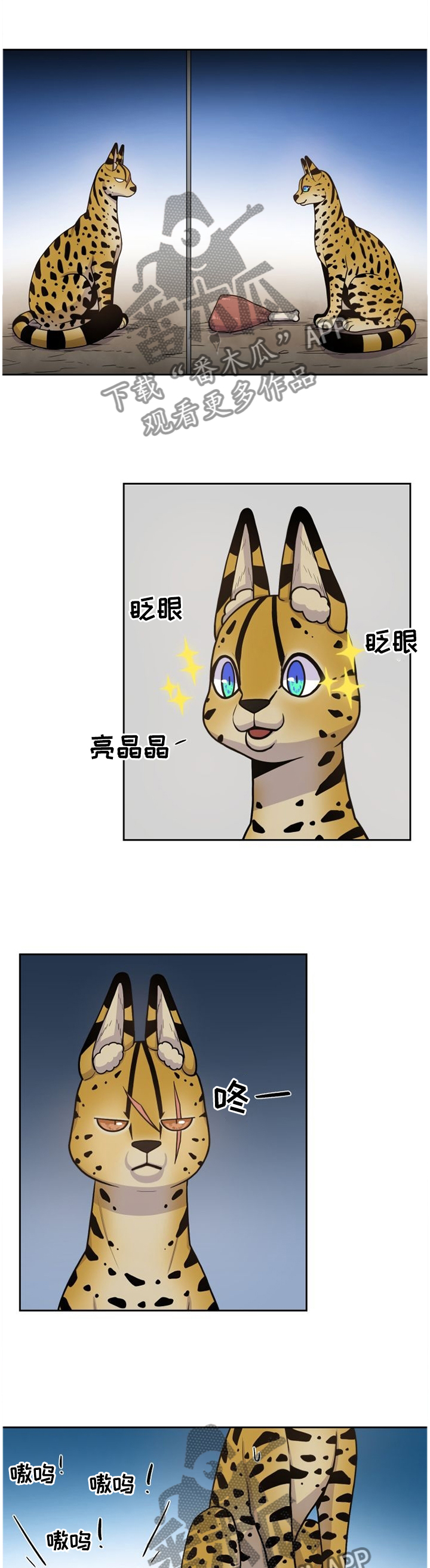 第88章：穿过3
