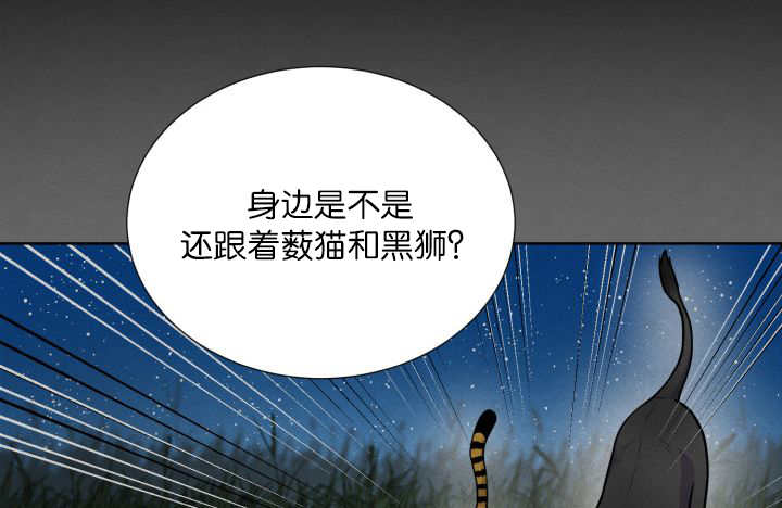 第62章：怕弄疼我47