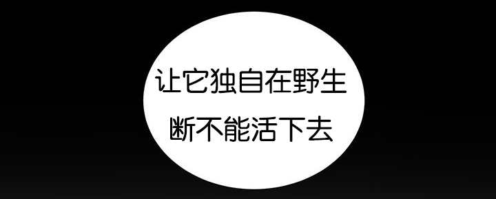 第21章：把他带去49