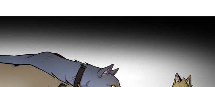 第79章：有人关心19