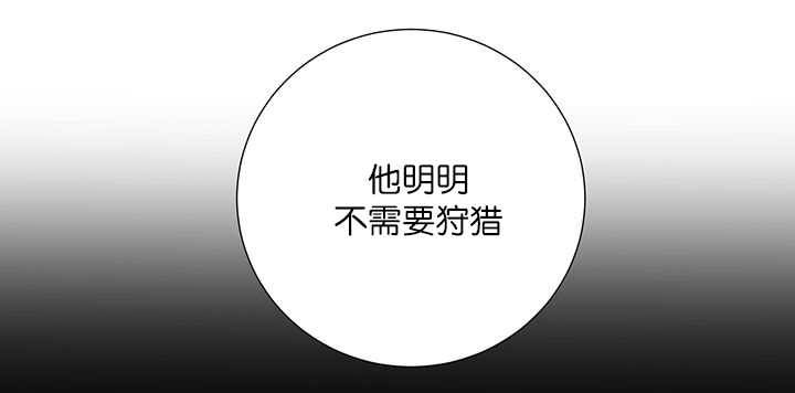 第19章：不会放过31