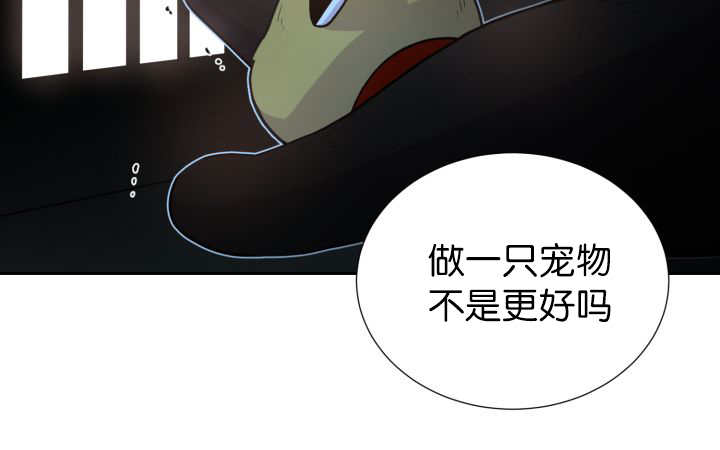 第81章：要去哪里16