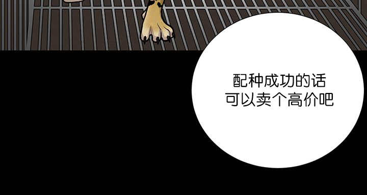 第1章：好好表现31