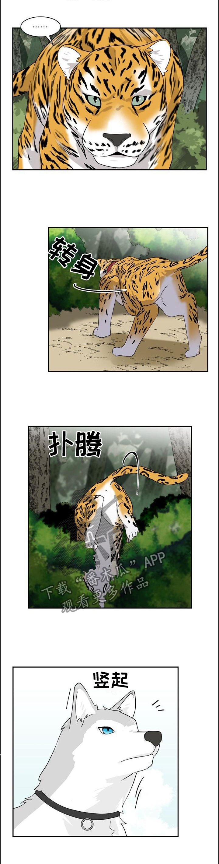第98章：【第二季】追逐0