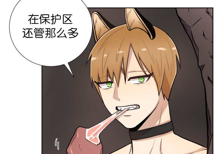 第53章：确认领地59