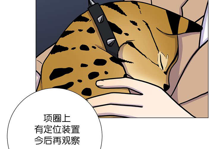 第1章：好好表现52