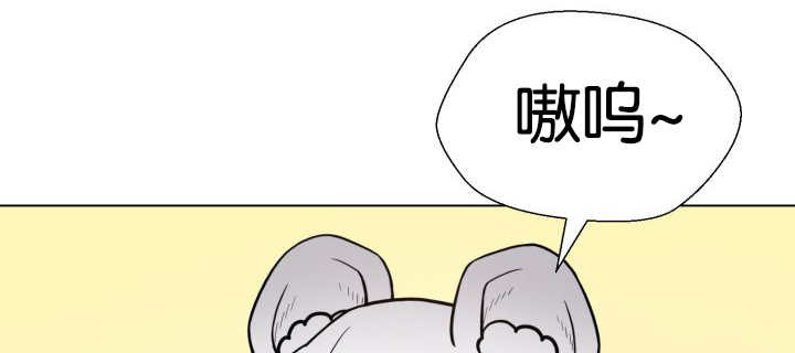 第46章：别耍花招34
