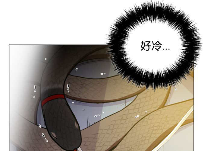第36章：是爱情吗49