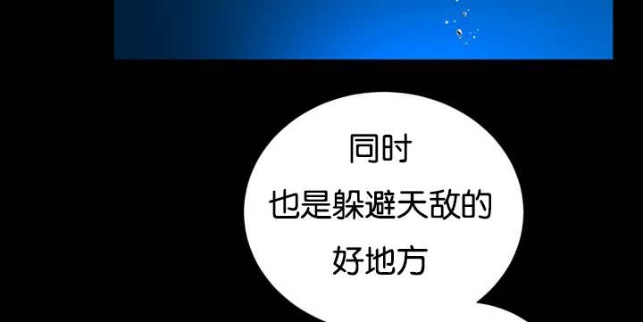 第25章：初次见面43