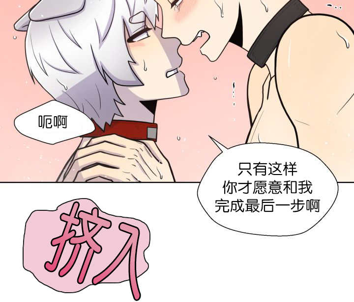 第62章：怕弄疼我4