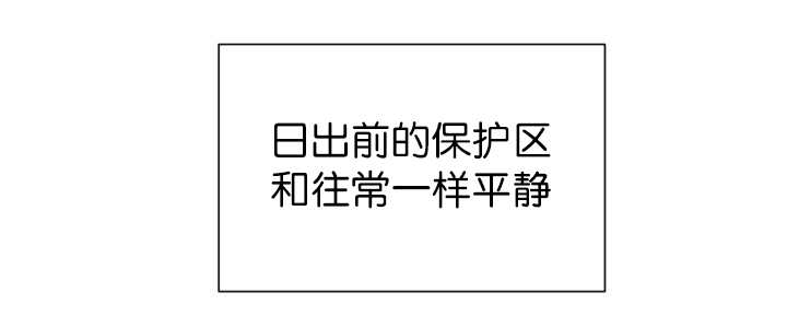 第85章：悄声无息19