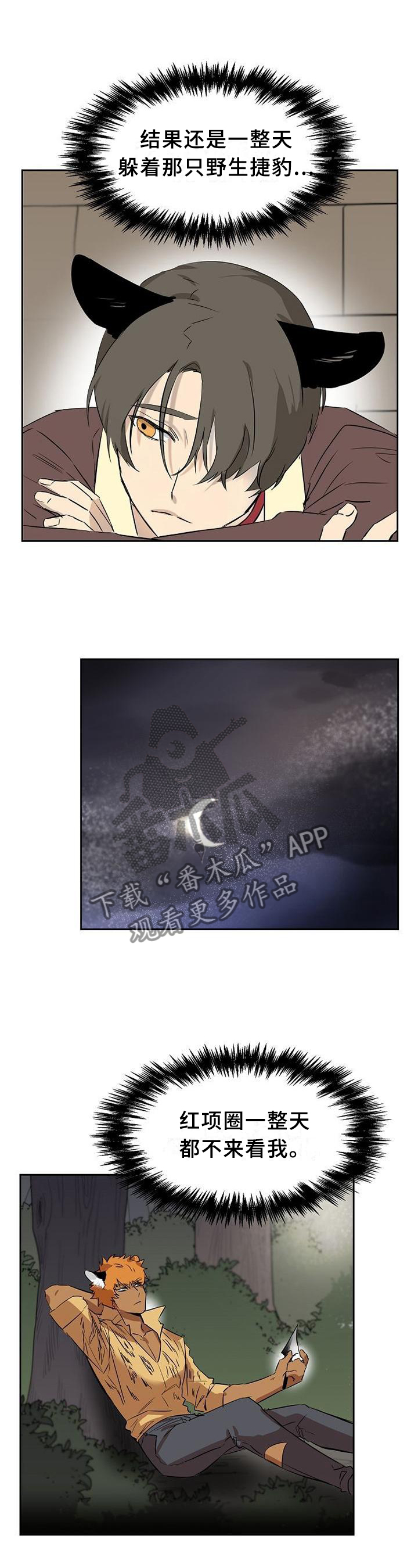 第136章：【第二季】枪击3