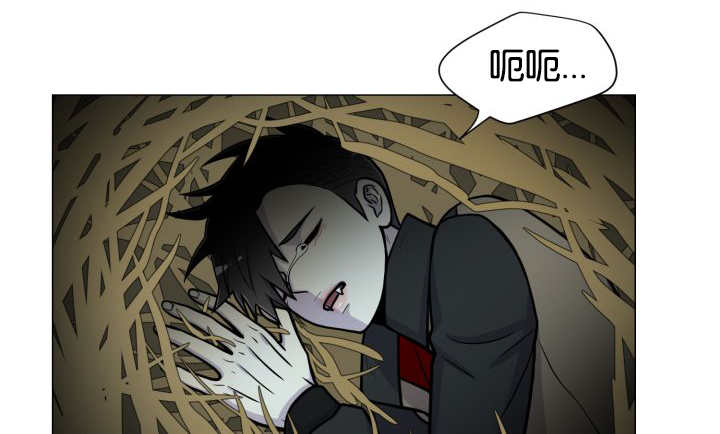 第37章：我喜欢他0