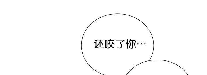 第7章：永远都是20