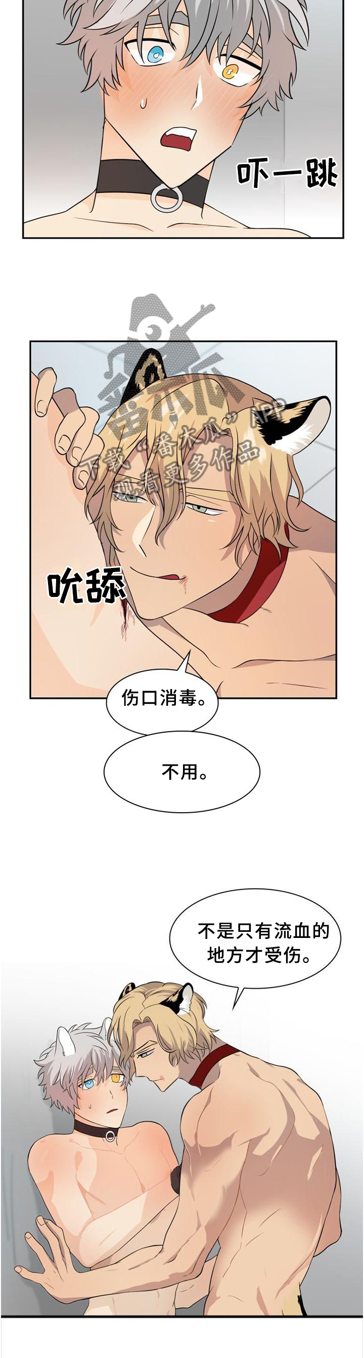 第107章：【第二季】处理伤口9