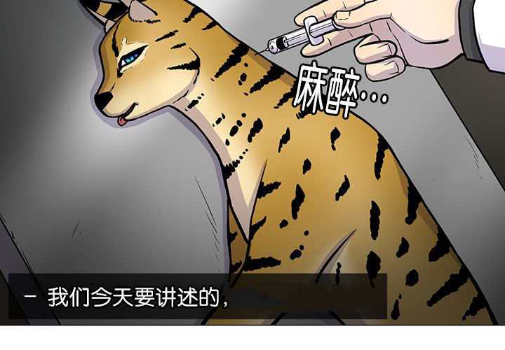 第1章：好好表现11