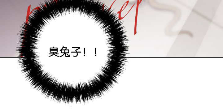 第41章：为你准备46