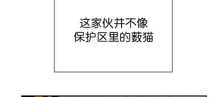 第85章：悄声无息34
