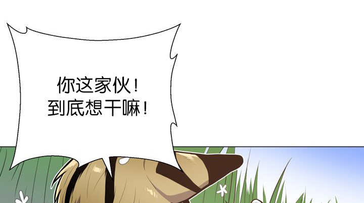 第12章：三天一次41