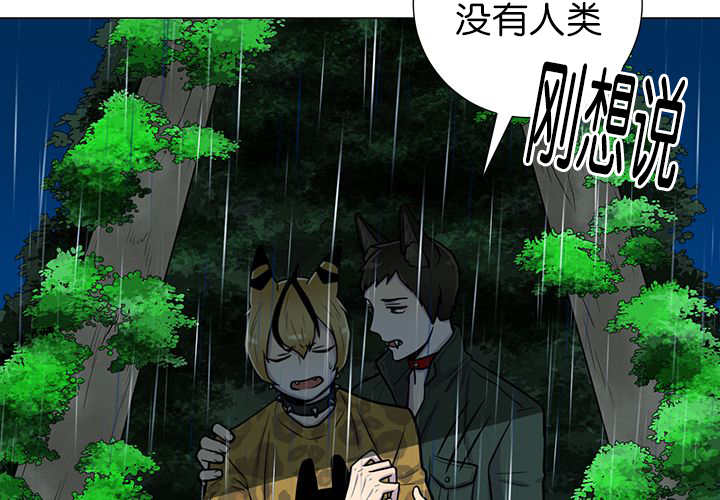 第7章：永远都是3